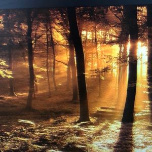 Meet your Posher, Myra